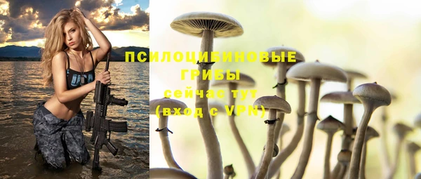 mix Арсеньев