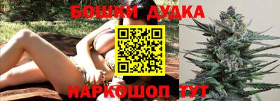 гидра Камышлов